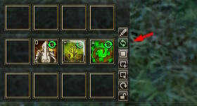 skill auto use interface mw