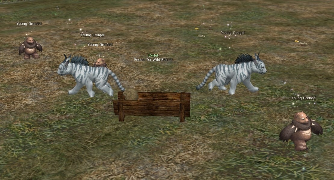 Feeder for Wild Beasts mw