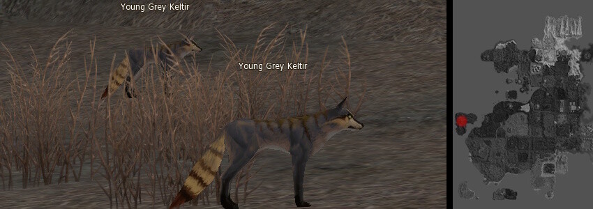 Keltir mw
