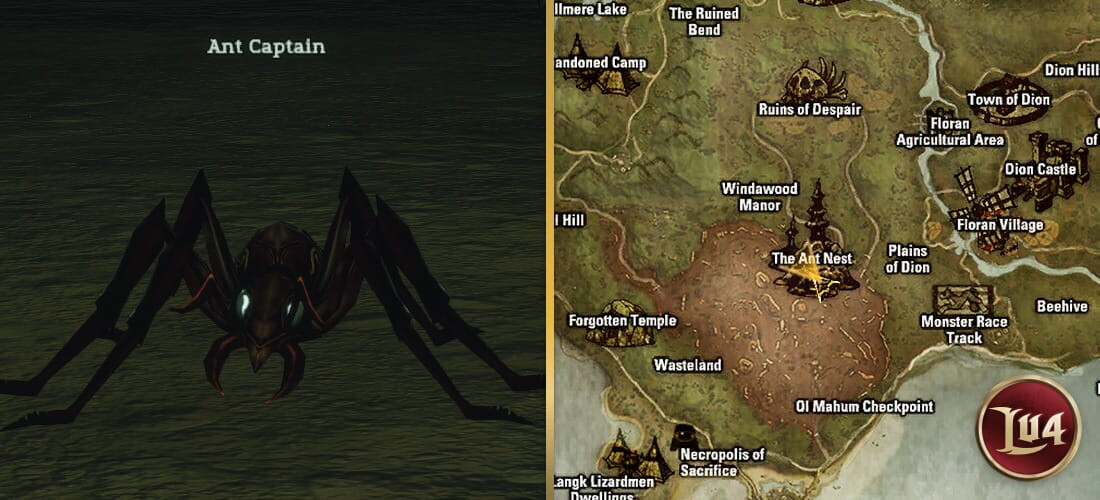 Ant Captain lu4