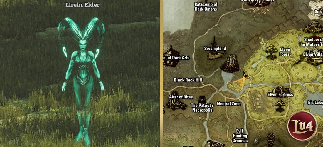 Lirein Elder
