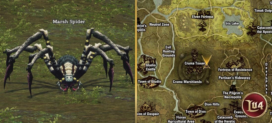 Marsh Spider lu4
