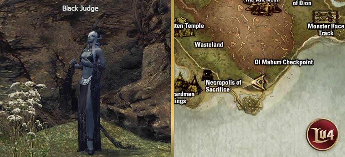Black Judge Wasterland