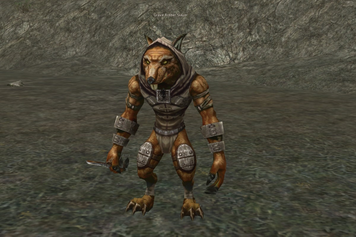 Grave Robber Slayer mw