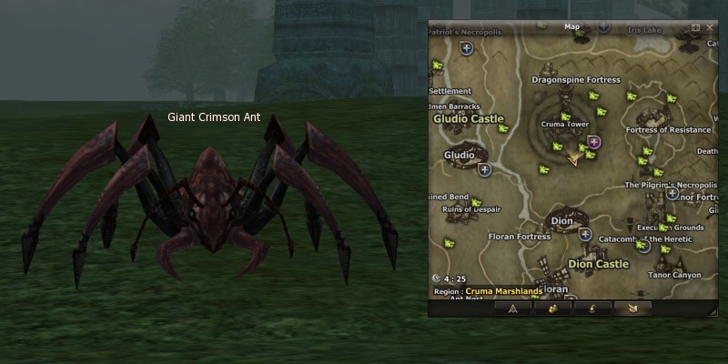 Giant Crimson Ant mw