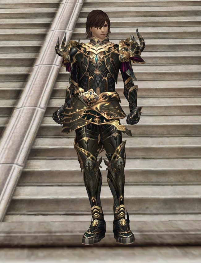 Eternal Peerless heavy armor set eternal