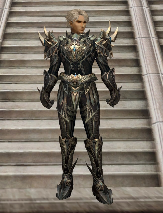 Eternal Peerless leather armor set eternal