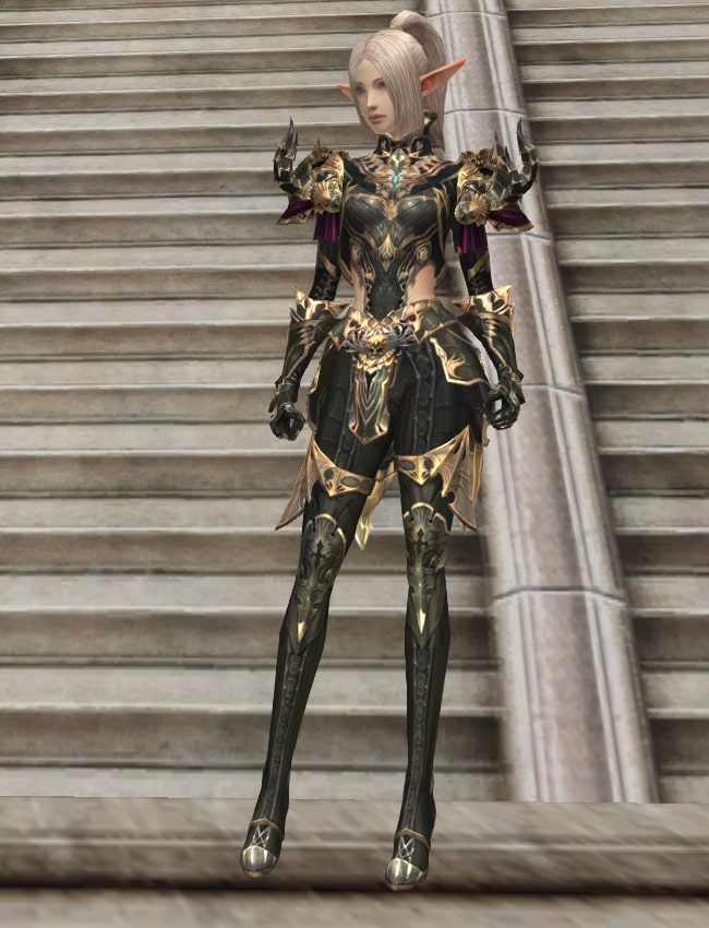 Eternal Peerless heavy armor set eternal