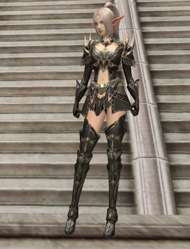 Eternal Peerless leather armor set eternal