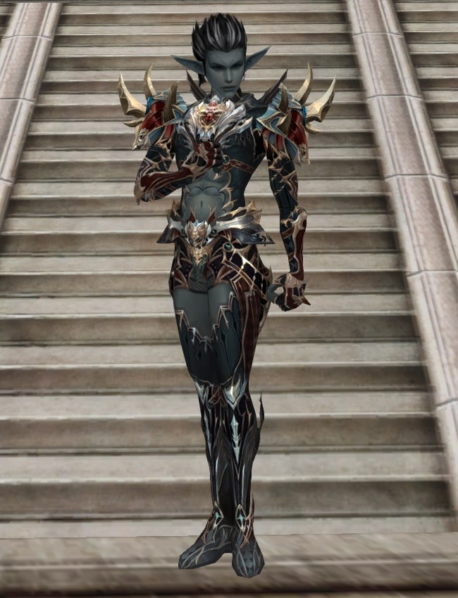 Eternal Perfect leather armor set eternal