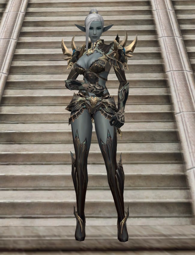 Eternal Peerless leather armor set eternal