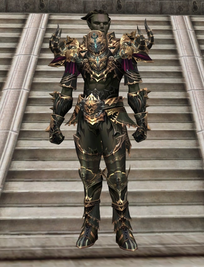 Eternal Peerless heavy armor set eternal