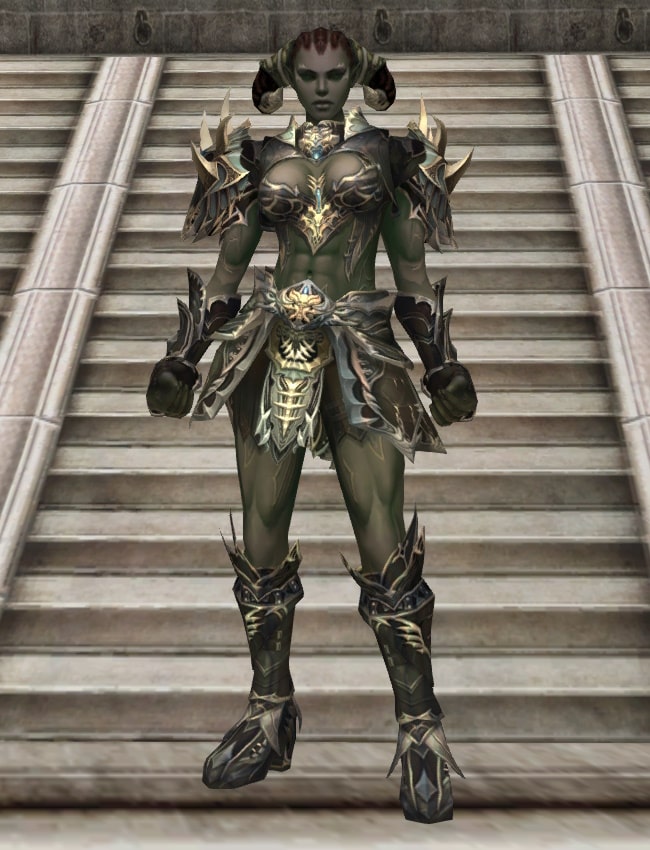 Eternal Peerless leather armor set eternal