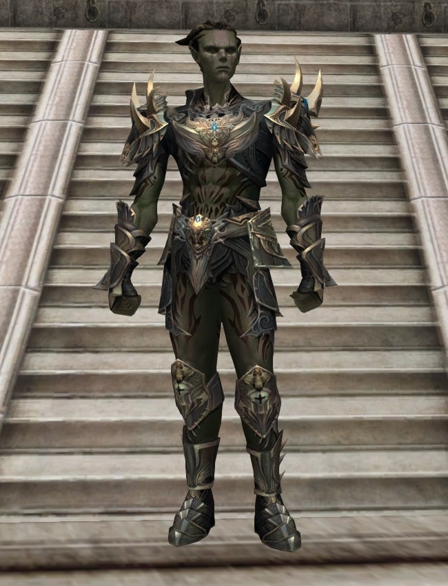 Eternal Peerless leather armor set eternal