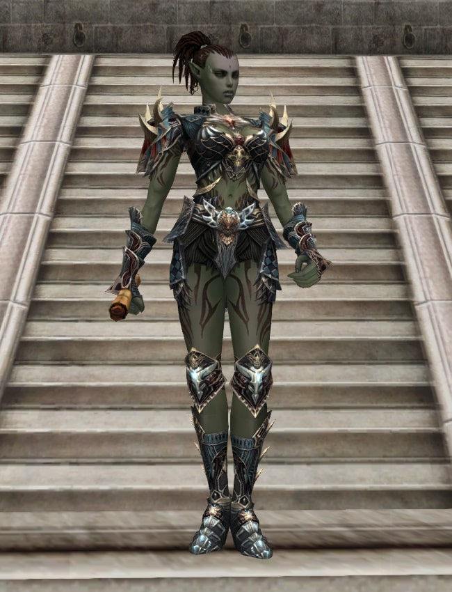 Eternal Perfect leather armor set eternal