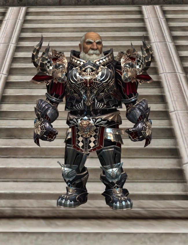 Eternal Perfect heavy armor set eternal