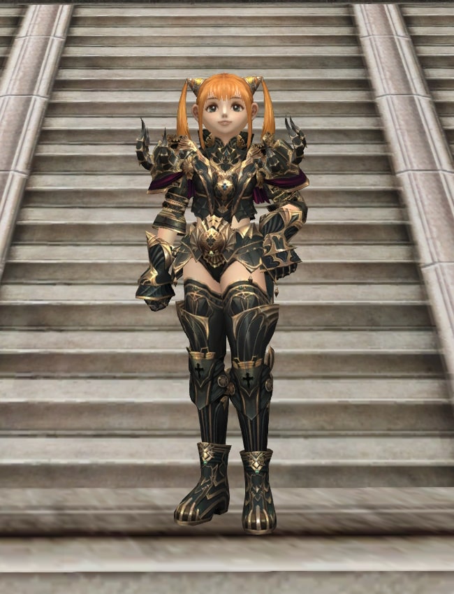 Eternal Peerless heavy armor set eternal