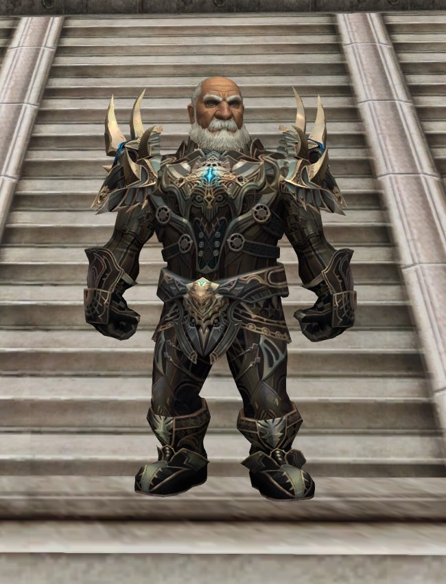 Eternal Peerless leather armor set eternal