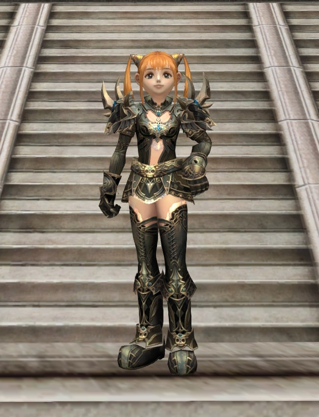 Eternal Peerless leather armor set eternal