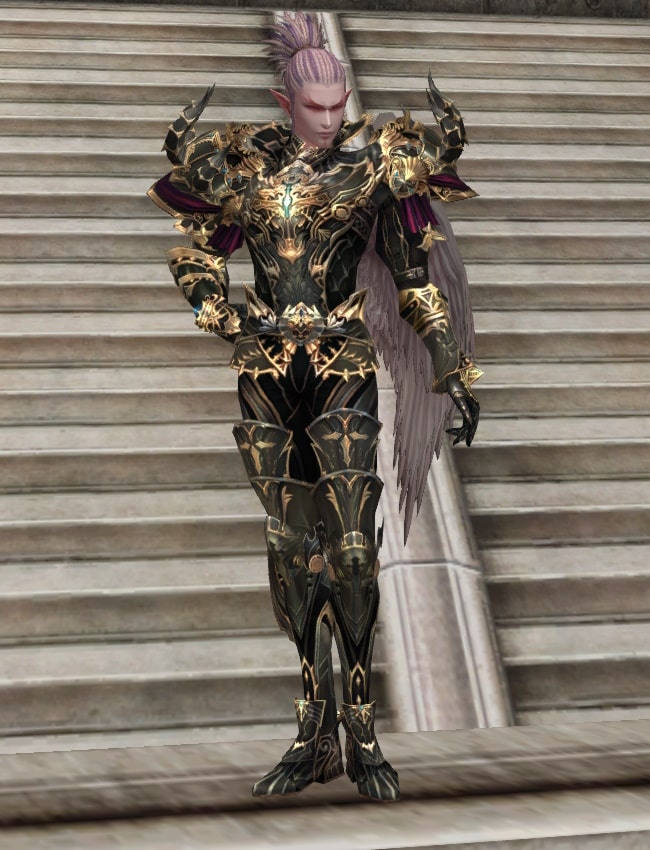 Eternal Peerless heavy armor set eternal
