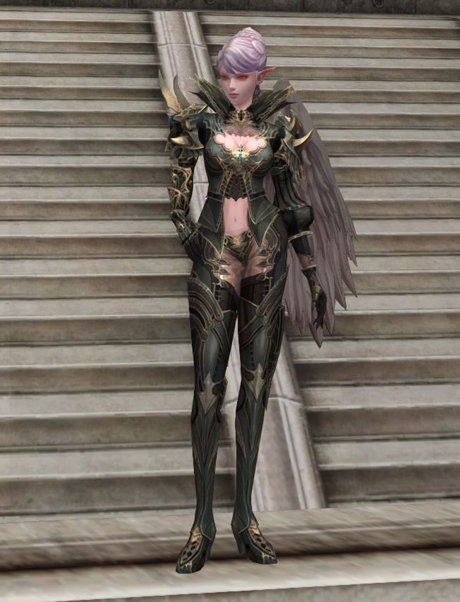 Eternal Peerless leather armor set eternal