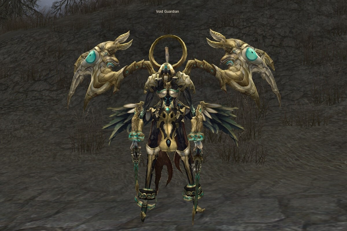 Void Guardian eternal