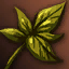 Magic Plant