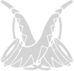 icon lu4