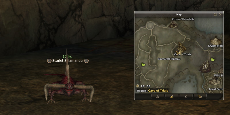 Scarlet Salamander mw