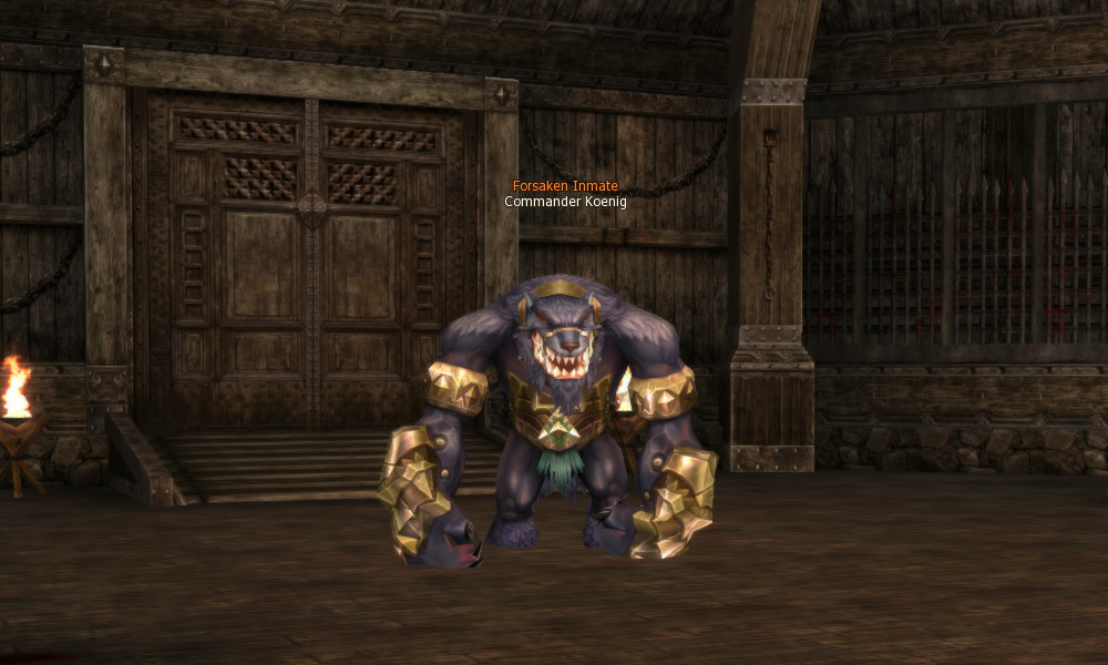 Commander Koenig mw