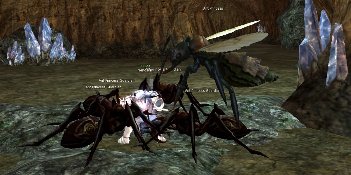 Queen Ant instance eternal