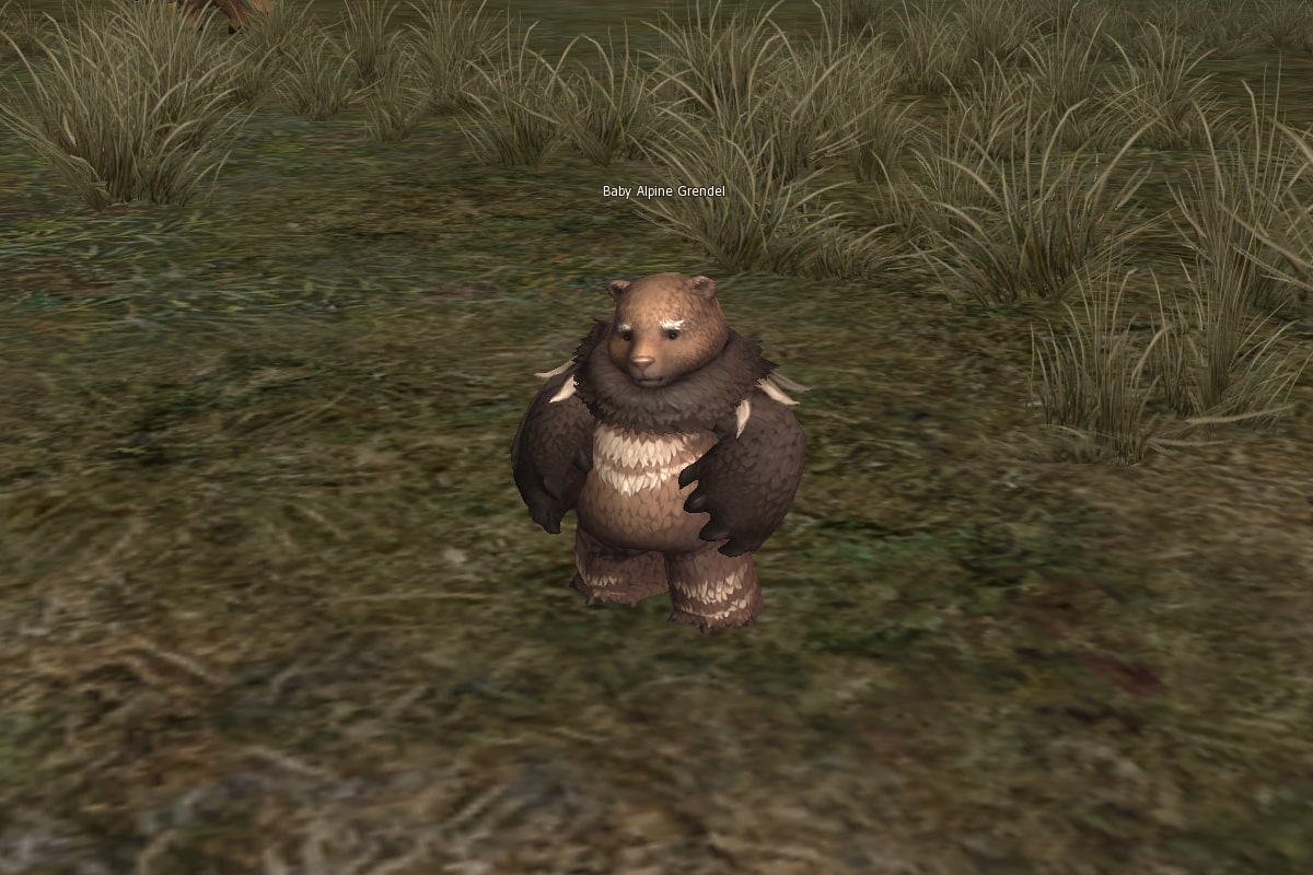 Baby Alpine Grendel mw
