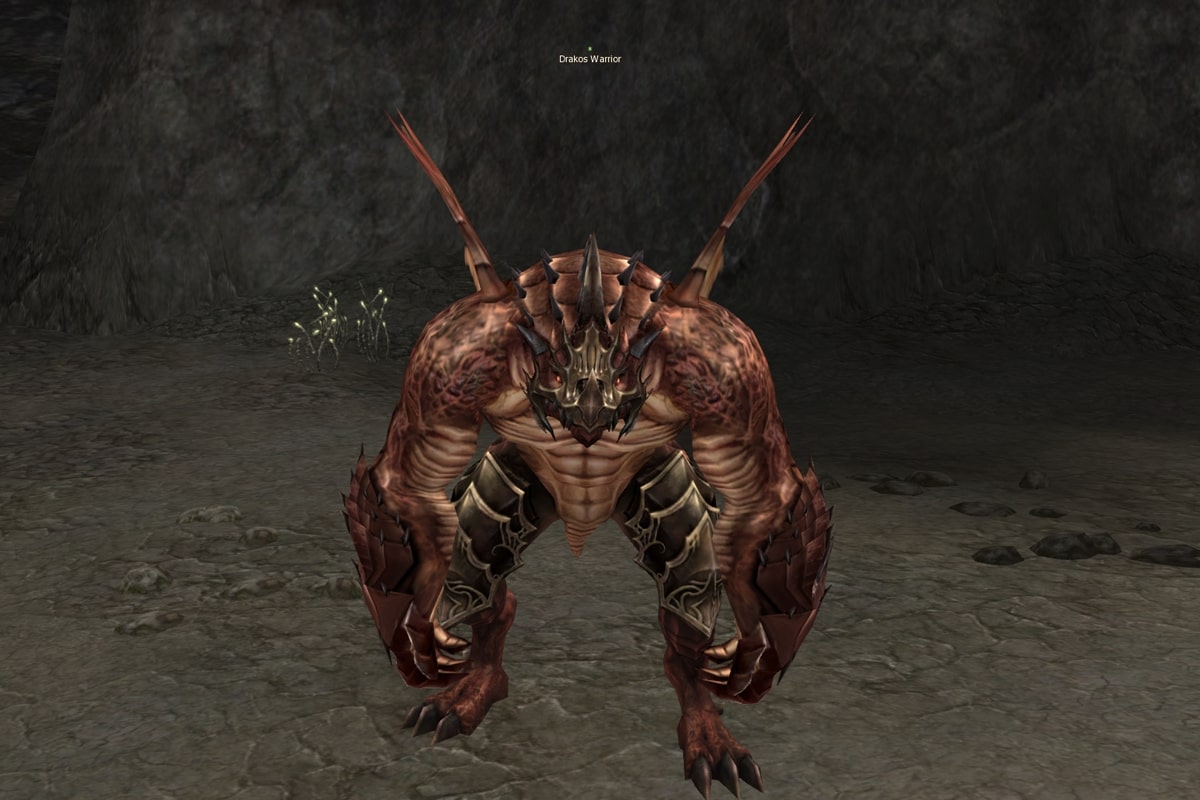 Drakos Warrior eternal