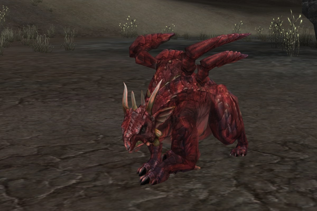 Magma Drake Hatchling eternal