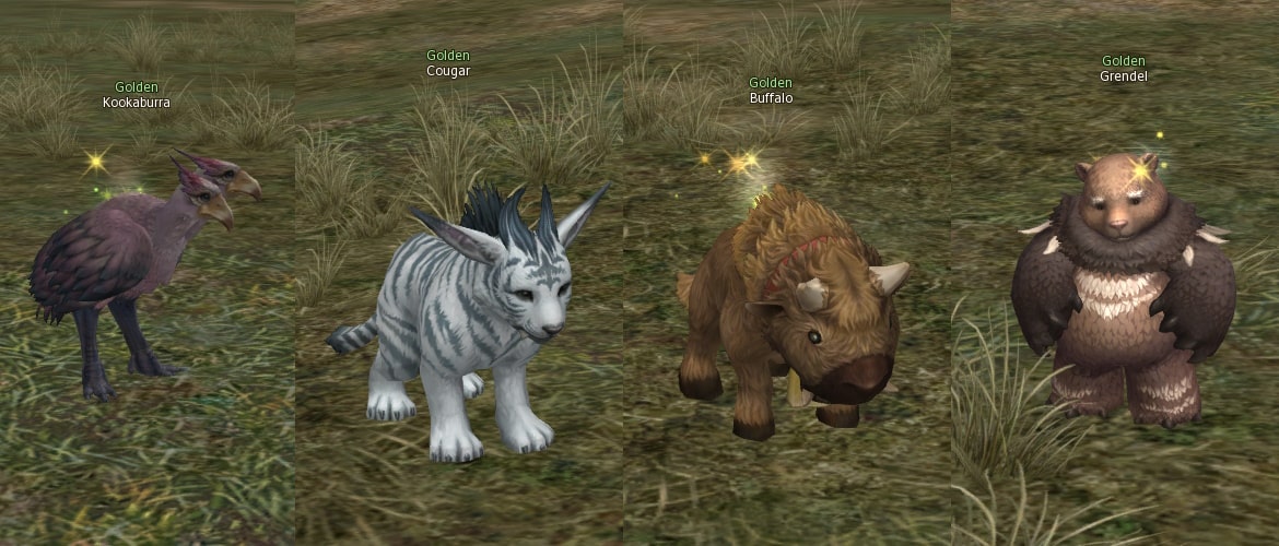 Golden beast mw