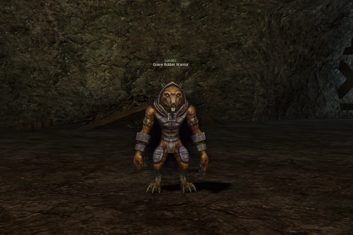 Grave Robber Warrior mw